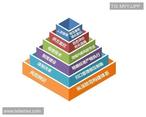 广州极限运动队的控制策略与成效分析探讨MBA