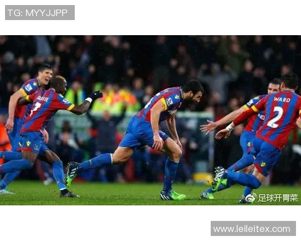 加的夫城与水晶宫激战成平局双方各取一分的精彩对决回顾